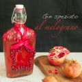 Gin speziato al melograno