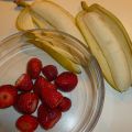 YogoGelato alla frutta (senza lattosio e senza[...]