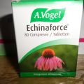 Il potere dell'echinacea contro i malesseri[...]