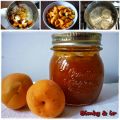 MARMELLATA DI ALBICOCCHE