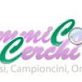 DimmiCosaCerchi...molto più di un sito!