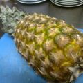 Cannelloni d'ananas cioccolato bianco e coulis[...]