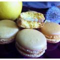 Ce l'ho fatta anche io.... I macarons al limone[...]