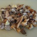 Torta salata ai funghi misti e Provola
