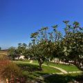 Il Lusso del Silenzio, la mia Vacanza in Salento