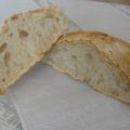 Panini con lievito madre