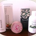 REVIEW PLANTERS