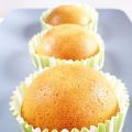 LA RICETTA DELLE CAMILLE (clicca e condividi)