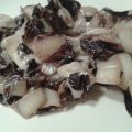 Radicchio filante
