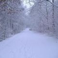 NEVE E RISOTTO ALLA VERZA