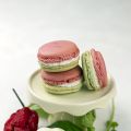 Macarons salati 