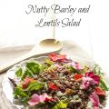 Colorata insalata di Lenticchie e Orzo - Nutty[...]