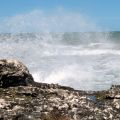 Mare