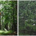 LA MIA ESPERIENZA AL PARCO AVVENTURA MAJELLA