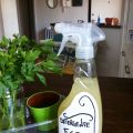 con limone e aceto : detergente ecologico