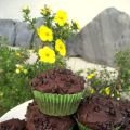 Muffin al cioccolato