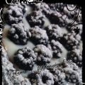 CROSTATA DI MORE ...... !!!!