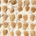 Torrone Sardo