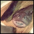 Bouillabaisse alla Marsigliese...con liquore[...]