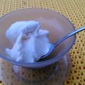 Facciamo il gelato!