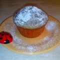 MUFFIN CON YOGURT DI MIRTILLI