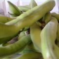 vignarola