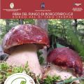 Fiera del fungo di Borgotaro I.G.P. 17, 18 e[...]