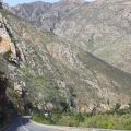 Sulla strada per Cape Town, fra pinguini e dune[...]