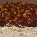 Torta golosissima con canditi