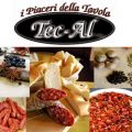Collaborazione Tec-Al