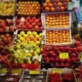 Expo festeggia la frutta il 28 luglio. -[...]