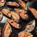Antipasti - Cozze al gratin a modo mio (Daniele)