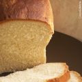 Pane in cassetta ........... di salvataggio[...]