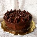 MUD CAKE 