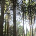 WildPark in Poing - 23 Agosto