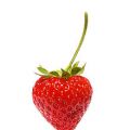 Fragole