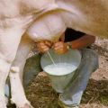 INALPI: BONTA' E GUSTO TUTTO ITALIANO