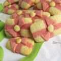 Biscotti pacchetto regalo