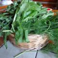"Minestra maritata" Erbe di campo -[...]