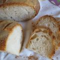 Esperimenti in cucina: un pane leggero e con[...]