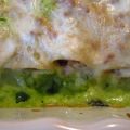 Cannelloni al pesto di pistacchi e anacardi