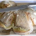 PANE MATERA