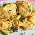 Pollo stufato con la panna acida e verdure