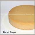 Pan di Spagna