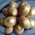 Madeleine:les bonbons du bonjour!