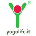 Collaborazione 