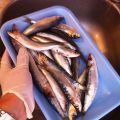 Oggi cucino... Sarde arrostite 