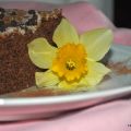 Torta con orzo e cacao