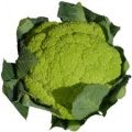 Pasta con i broccoli in tegame