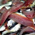 Sarde all'Anconetana
